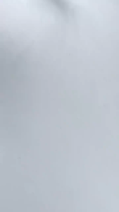 POLO AMSTAR Original Waistbag HM