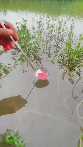 100Ml Umpan Cairan Merah Daya Tarik Ikan Kuat Umpan Ikan Cair Cacing Merah Terkonsentrasi Umpan Ikan Konsentrasi Tinggi untuk Ikan Trout Cod Ikan Mas Bass