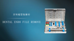 NICEDEN Dental Endo Broken File Removal System Root Canal File Extractor Broken File Removal Instrument Endodontics Tools