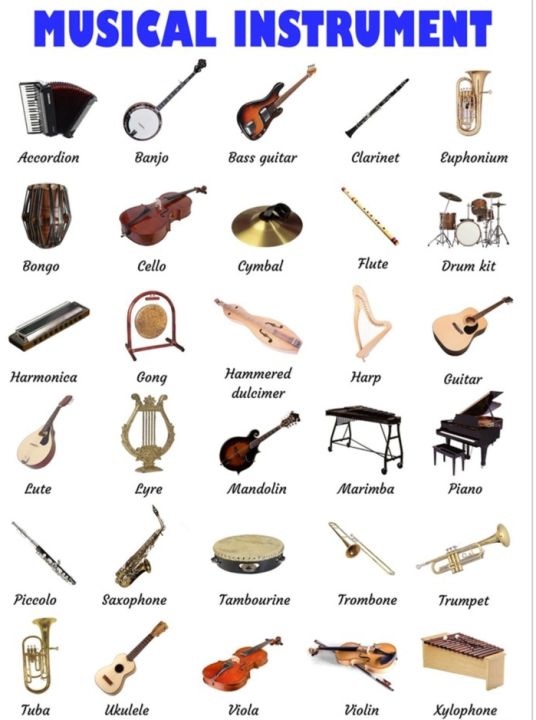INSTRUMENT LAMINATED CHART A4 | Lazada PH