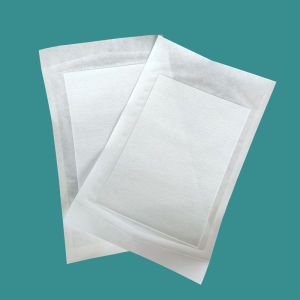 Waterproof Adhesive Plaster Bandage Non-Woven Fabric Wound Dressing PU Film Coated Emergency First Aid Gauze Wrap Fixing Pack of 10