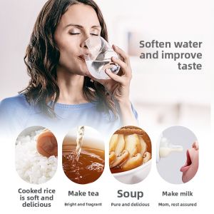 Bwt | Water Filtration and Scale Removal Filter Cartridge