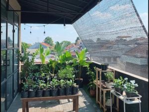 paranet 90% ukuran 3x3 dan 2x3 sudah dilisttali dan plong