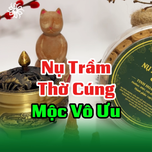 [TẶNG LƯ XÔNG] Nụ trầm hương Sạch Thơm Không Hóa Chất Mộc Vô Ưu nguyên chất Dùng xông nhà cửa quán xá văn phòng