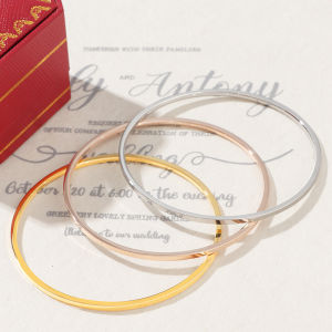 Ultra-Fine Glossy Bracelet Plated 18K Gilded Minimalist 2mm Simple Bracelet Titanium Steel Bracelet White Twin Non-Fading Cold Wind