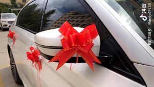 Nijito - Pull Flower Gift Ribbon Riben Satin Organza Gift Flower Bouquet Birthday Wrapping Paper Hadiah Bunga Tarik