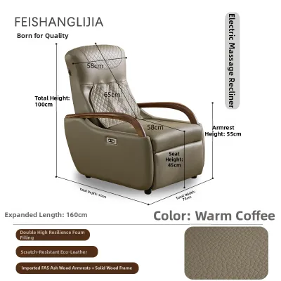 FEISHANGLIJIA | Electric Multifunctional Massage Sofa Chair