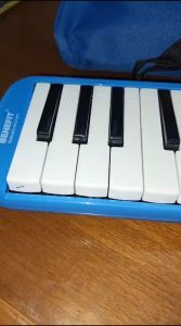 Alat Musik Pianika Tas Set Keyboard Mainan Anak / Pianika Candy