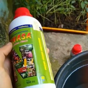 Pupuk Lada / Pupuk Pelebat Buah Lada / Pupuk Penyubur Tanaman Lada / Pupuk Penyubur Lada Sambungan