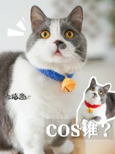 Adorable Cat Bell Neck Circle Soft Skin-friendly Wool Knitted Silent Bell Necklace Pet Accessories Universal Use