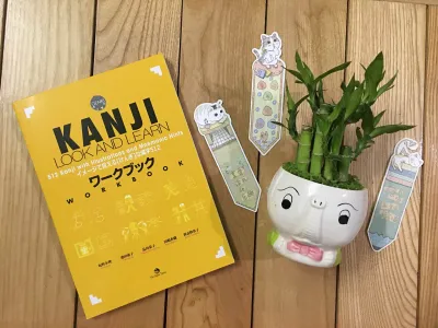 Sách - Combo Kanji Look And Learn - 512 Chữ Kanji Bản Dịch Tiếng Việt (Dành Cho Cấp Độ N5 N4)- NS Nhật Hạ