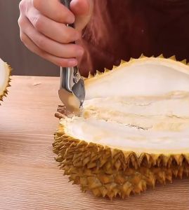Durian peel stainless steel ที่แกะเปลือกทุเรียน