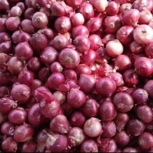 Bawang Merah India Segar 1 KG - Bumbu Masakan - Utama dalam Saus dan Dressing