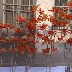 Sampai7an PBP172 Tanaman Hias Pohon Puring Macan Ornamen Buatan Dekorasi Rumah Indoor Outdoor COD