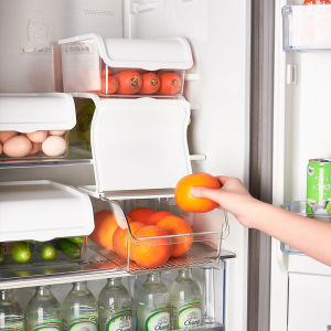 BANGJIAYI | Flap-top Food Grade Storage Organizer
