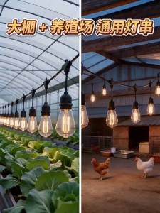 No Brand | Atmosphere Creating Outdoor Waterproof Light Bulb String E27