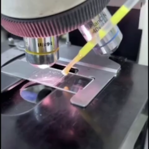 Medipaws Nano Active สเปรย์ฆ่าเชื้อ สมานแผล ปราบโรคผิวหนังเรื้อรัง สำหรับสัตว์เลี้ยง 100 ml.