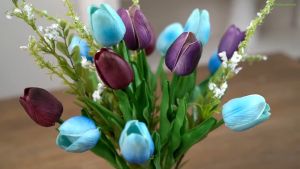 Bó 10 Hoa Tulip Xanh Đẹp Dịu Dàng