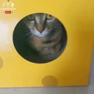 Luka😊พร้อมส่ง💯 กล่องลับเล็บแมว ที่ลับเล็บแมว ที่ลับเล็บ บ้านแมว ที่นอน ของเล่นแมว ลับเล็บได้ 2 ชั้น