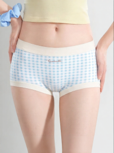 Secret World | Cotton Antibacterial Comfort Womens Boxer Briefs