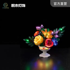 KEYUN | LEGO Compatible Lighting Set