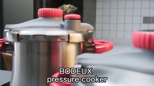 6L8L304 Stainless Steel Pressure Cooker: An Original Imported Rice Cooker