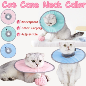 Adjustable Pet Recovery Collar: A Must-Have Accessory for Cat & Dog Owners