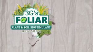 3GS SUPER FOLIAR SOIL & PLANT ADJUVANT BIO-STIMULANT LIQUID BIO FERTILIZER - 5 liters per gallon