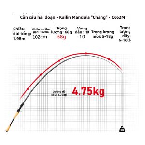 KYORIM FISHING | Cần Câu Cá Độ Nhạy Cao Chắc Chắn