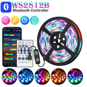 RGB-IC Dream Strip Light Magic Color LED Light C5V Bluetooth App Control Flexible Ribbon Lamp Tape USB TV Backlight Home Decor