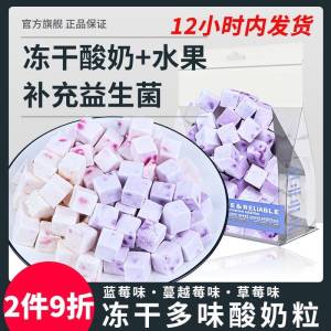 Cute Cool Pet Dog Cat Snack Freeze-Dried Yogurt Tablets Fruit 100G Probiotics Digestion Promotion Dogs and Cats Reward