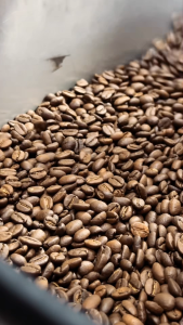Colombia Supremo Arabica Coffee Beans 250g 500g 1kg Freshly Roast Whole Bean Medium Roast Filter Espresso Dark Roast French Press V60 Po 500g 1kg