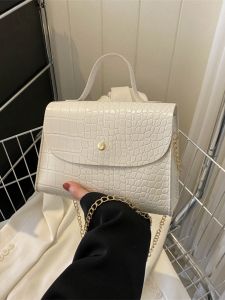 Advanced Texture Special-Interest Design Retro Small Handbags Womens 2023 New Arrival Trendy Versatile Chain Shoulder Messenger Bag