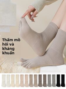MiiOW | Tất dài đến bắp chân MiiOW dành cho nữ mùa thu đông kháng khuẩn thấm hút mồ hôi tất dài đến đầu gối tay năm ngón