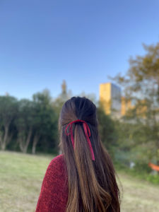 INS Velvet Half Tie Fairy Korean Style Easiest for Match Silk Ribbon Daily Bows Streamer Hair Tie Rope Rubber Headband Head Rope Hair Accessories