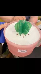 máy lọc nước hình xương rồng dành cho chó mèo - T3 PETS SHOP