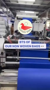 [10PCS] CHEAPEST NON WOVEN BAG IN LAZADA / A4 SIZE / 25x35x10 / READY TO SHIP / ECOBAG / GOODIE BAG