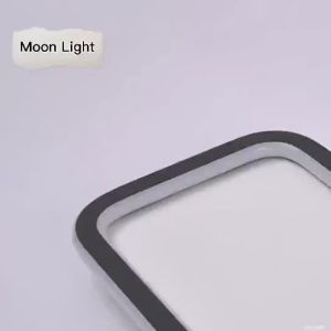 LED Long Ceiling Light Modern malist Strip Cloakroom Aisle Balcony Light Corridor Hallway Nordic Master Bedroom Lights