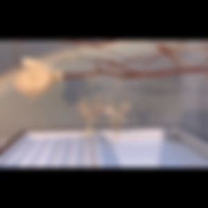 Bông tai hoa tua rua lấp lánh dễ thương XR925 sang trọng - bông tai dây dài hoa tai nữ đẹp bông tai đẹp bông tai giả bông tai đi tiệc hoa tai nữ sang trọng khuyên tai nữ ngầu BSTKTB - [NaLa Shop]