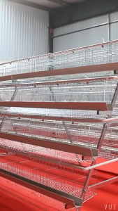 RCYAGO ส่งสินค้าจากไทย กรงตับไก่ไข่ สำหรับเลี้ยง 16 ตัว ฟรีเคเบิ้ลไทร์ กรงเดี่ยวไก่ไข่ ความจุขนาดใหญ่ กรงเลี้ยงไก่ไข่