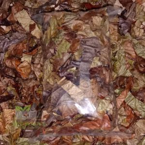 Teh Daun Kopi Kering Per Bungkus Daun Kawa Siap Rebus