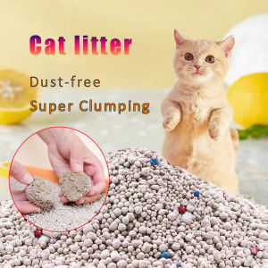 🐱4.8KG Bentonite Cat Litter vs Tofu Cat Litter - Fast Clumping No Odor | Pasir Kucing Anti Bau