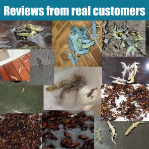 🦎100% effective in killing lizards and geckos🦎 Lizard killer gecko killer Racun cicak paling kuat Ubat cicak paling berkesan 100g Cicak killer death on contact Safe formula It can also be used by children with pets at home lizard repellent 防壁虎药