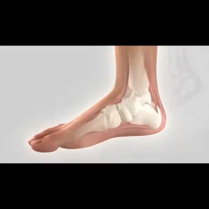 Sakaeda Yexun Pharmaceutical heel pain patch for heel pain heel bone spurs chapped fascia tears pain bruises sprains and swelling