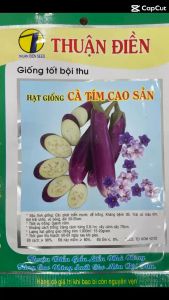 Hạt giống Cà tím cơm xanh (cà tím dài) hàng công ty Thuận Điền
