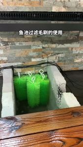 ถูกสุด แปรงพู่ดักตะกอน พู่กรอง วัสดุกรองสำหรับบ่อกรอง บ่อปลา ยาว 30/40/50 cm จัดส่งสุ่มสี