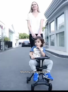 Stroller Baby Mommy Jay Kereta Dorong Anak Lipat 2 Arah Cabin Size Multifungsi dapat dibawa Sepeda Motor