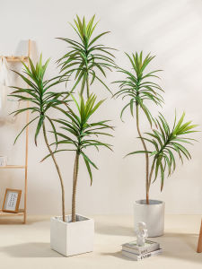 Luxury Agave Faux Plant Decor