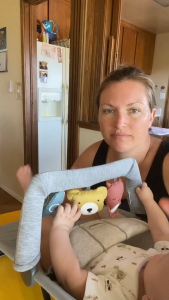 Baby Bjorn Toy Bar For Bouncer - Assorted Designs