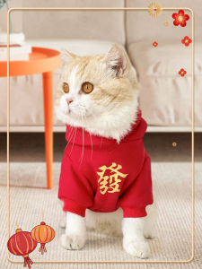 VOA | Winter Warm Anti-Shedding Pet Clothing for Cats and Dogs